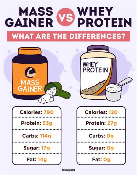 mass gainer vs whey protein